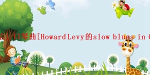 「总结」口琴曲[Howard Levy的slow blues in C]赏析